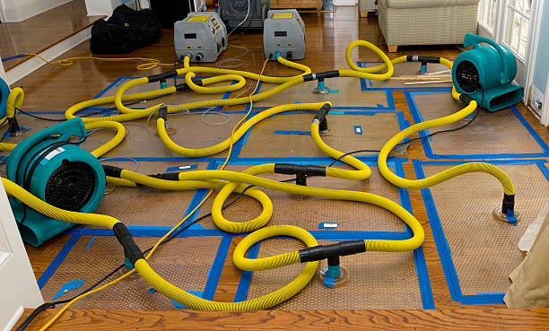 Professional Flood Damage Restoration technician working in Worthington, MA